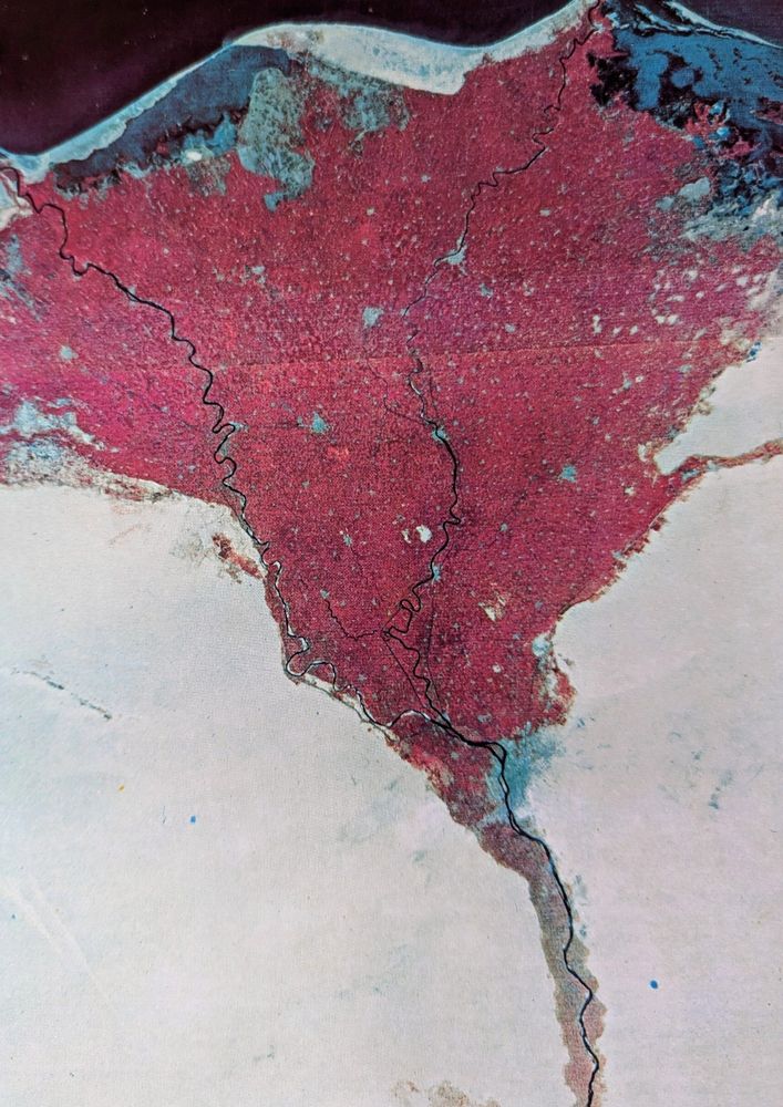 A false color image of the Nile. 