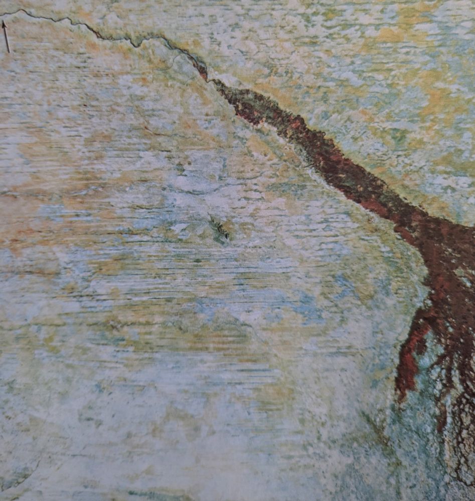 False color image of an African desert 