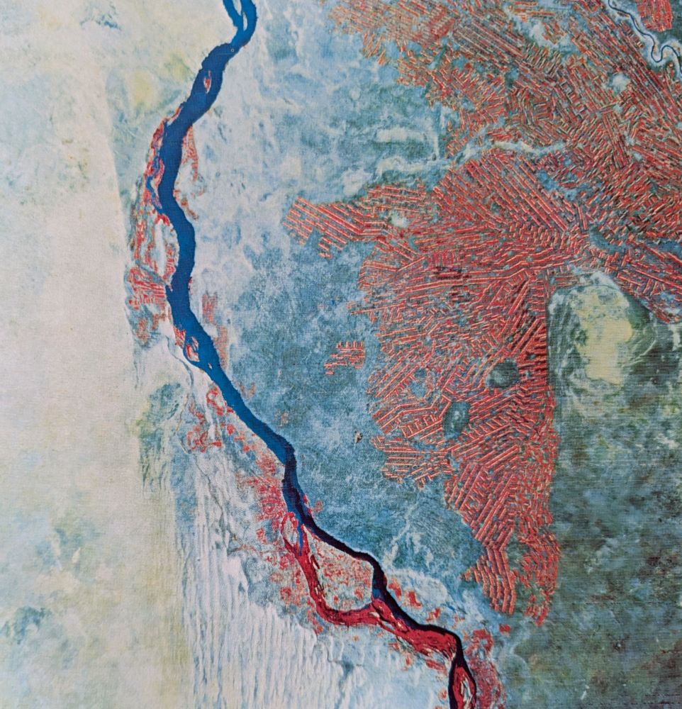 False color image of Sudanese agriculture 