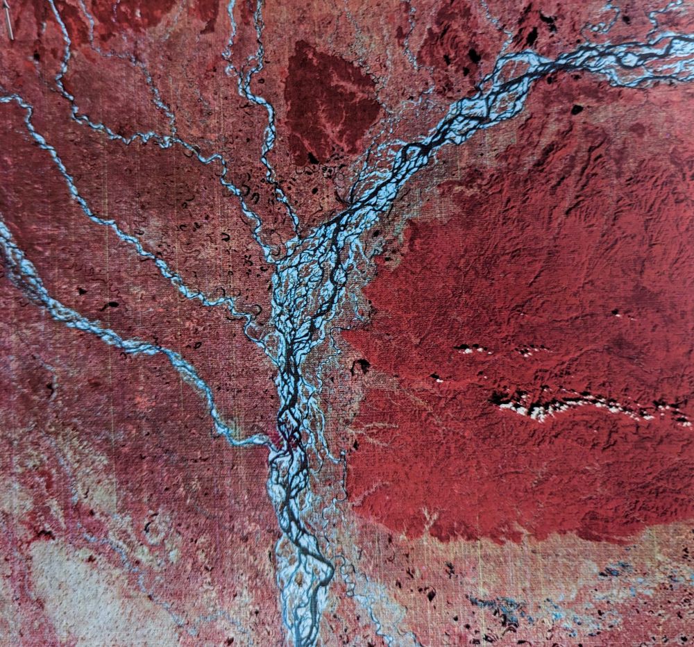 False color image of the Ganges