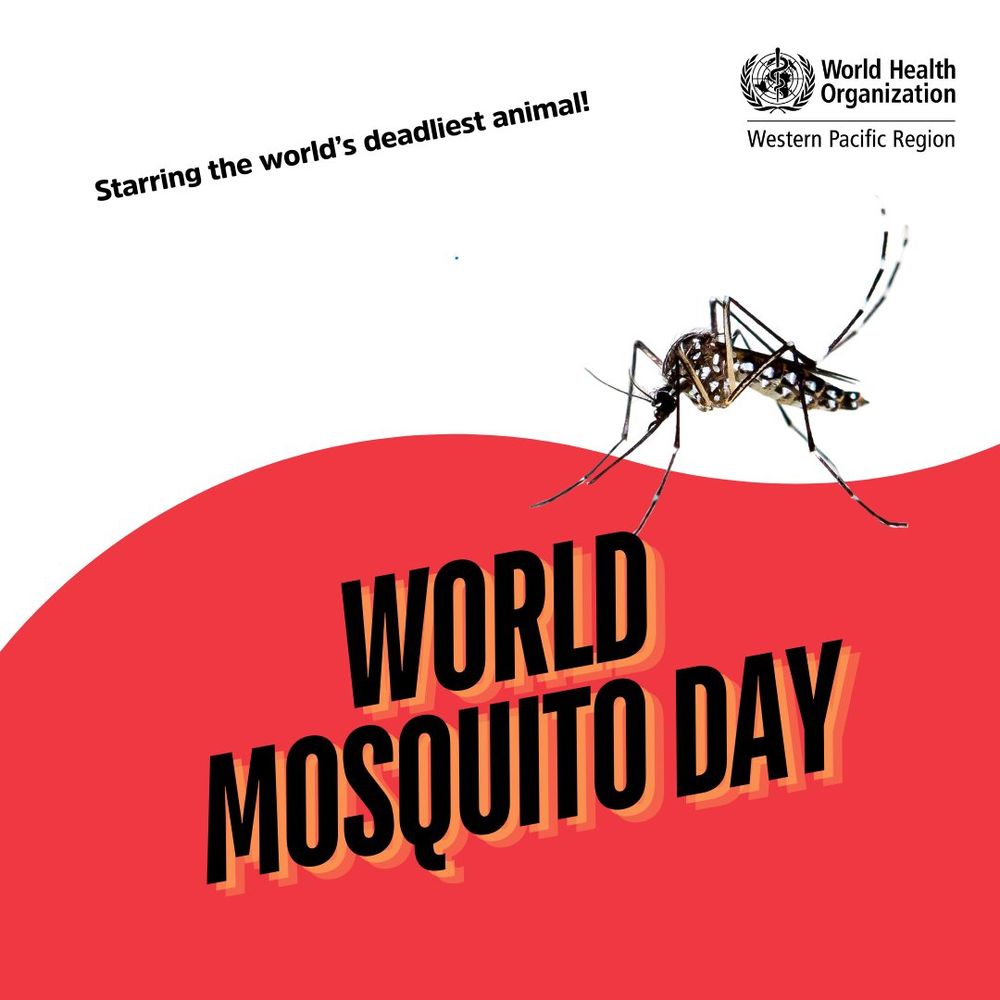 A mosquito

Text reads: World Mosquito Day
Starring the World's deadliest animal