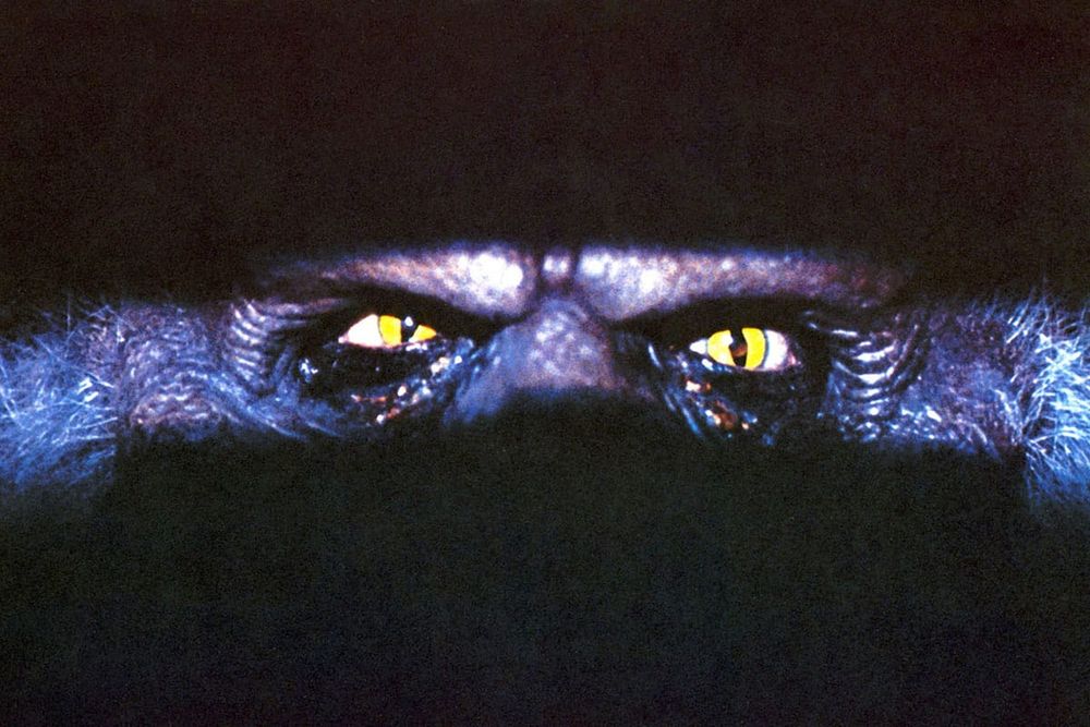 "Fluffy", monstre velu duquel seuls les deux yeux jaunâtres sont visibles, enfermé depuis des décennies au fond d'une caisse.