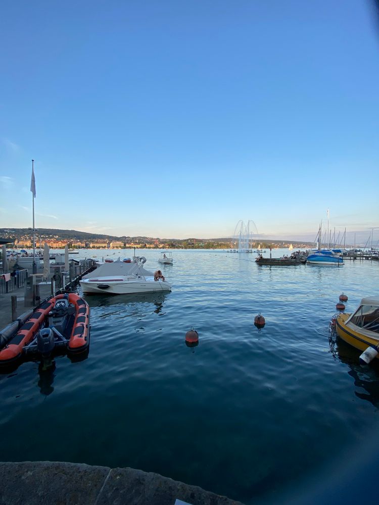 Picture of a lake and a marina with boats and buoys. Rising Sun and fountain in the background.