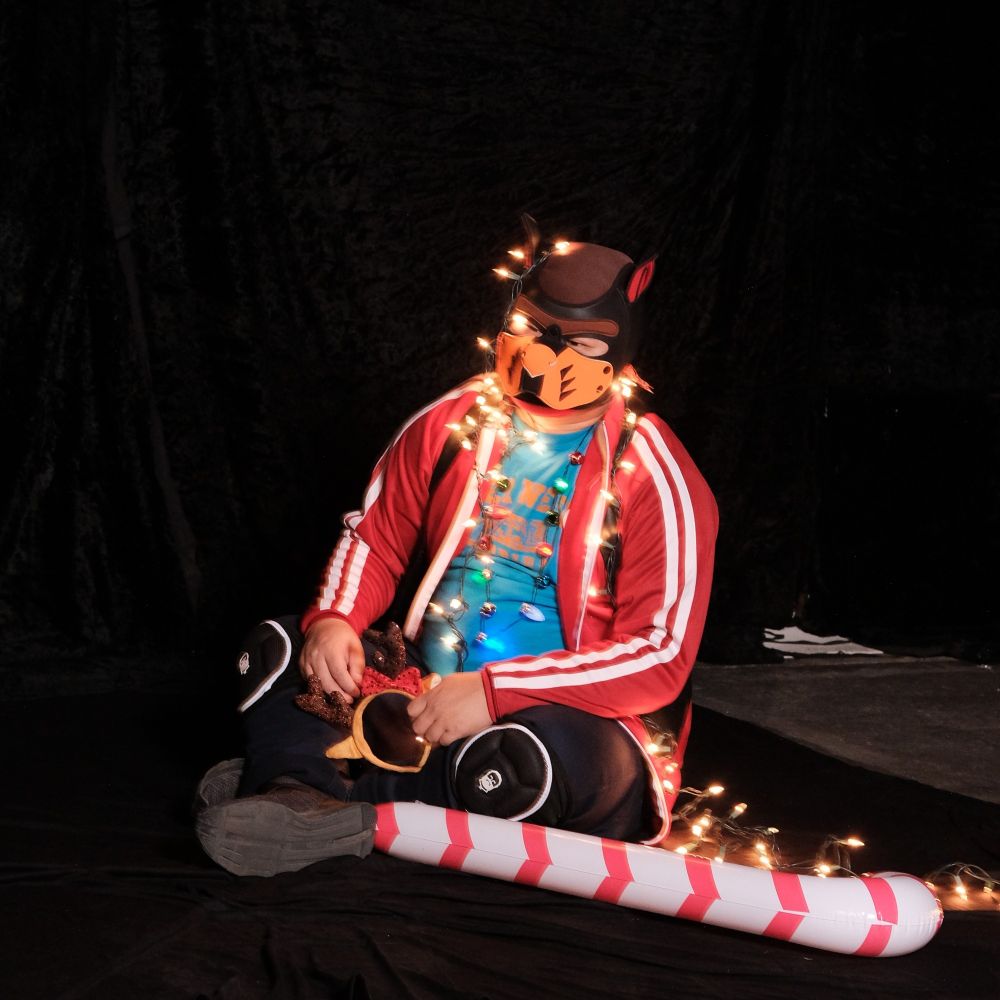 Doggone got tied up in Christmas lights