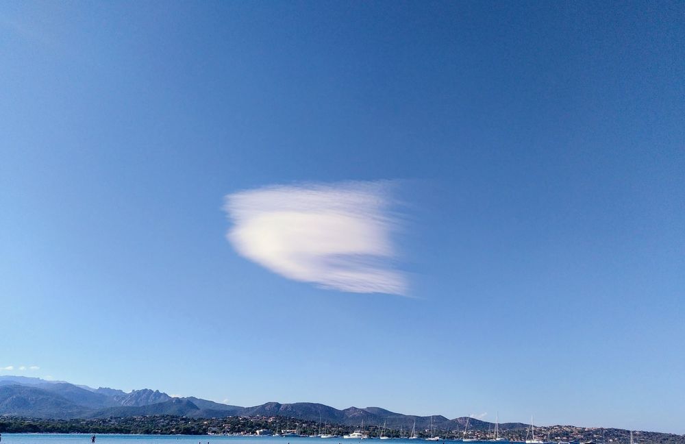 Nuage en forme de colombe de la paix 