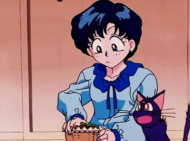 Sailor Mercury Cat Moon GIF