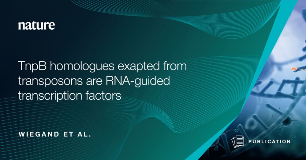 TnpB homologues exapted from transposons are RNA-guided transcription factors - IonOpticks