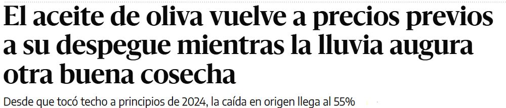 Titular: El aceite de oliva vuelve a precios previos a su despegue mientras la lluvia augura otra buena cosecha. Desde que tocó techo a principios de 2024, la caída en origen llega al 55%