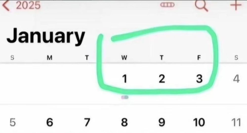 Screenshot of the January 2025 calendar 