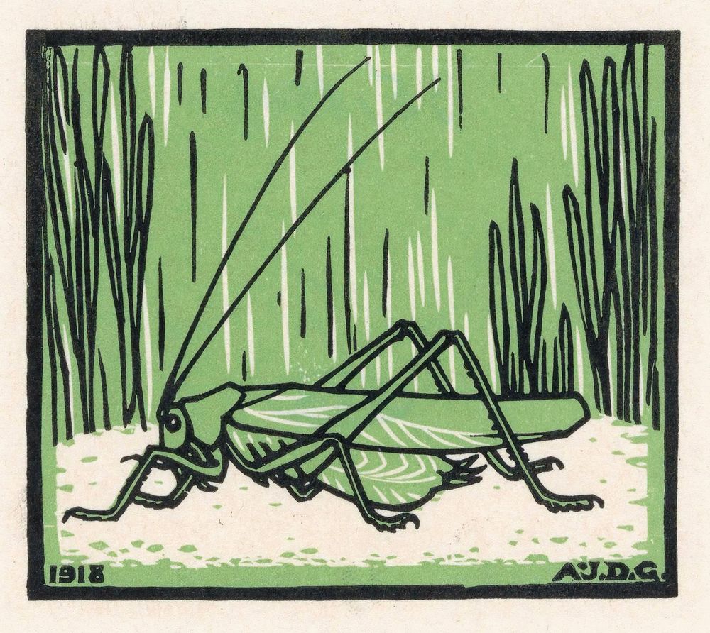 1918 woodcut on paper print of a grasshopper by Julie de Graag