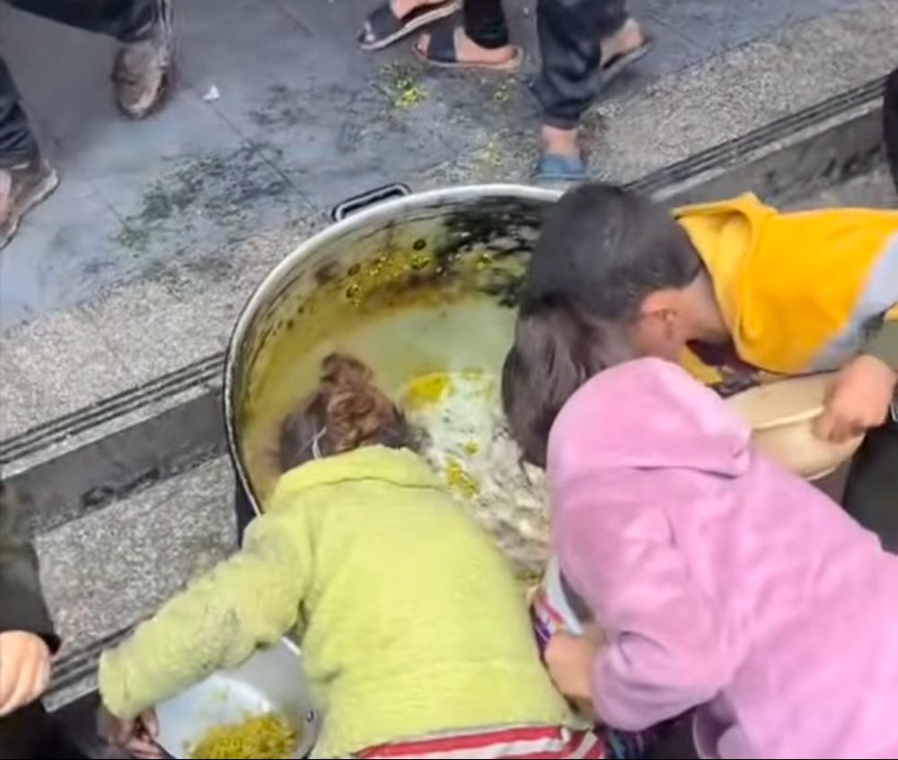 Children scour for the scarce food in Gaza.