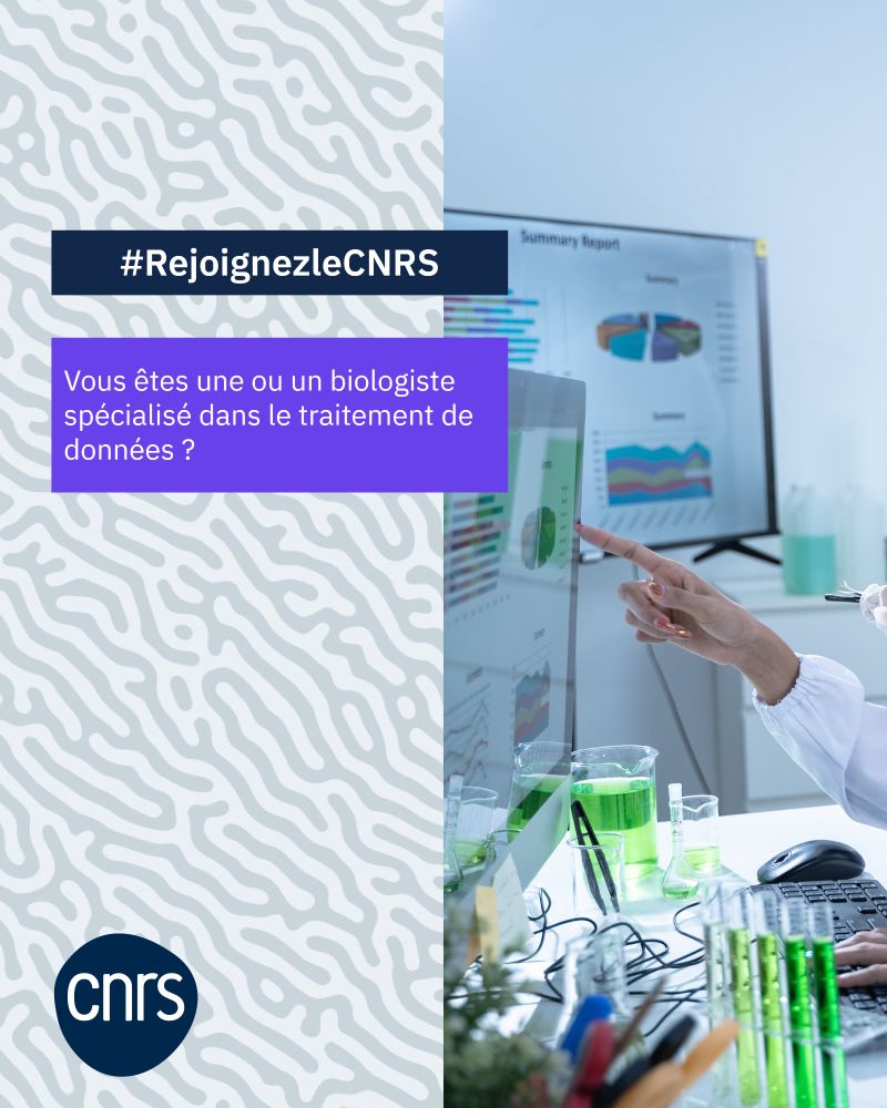 #RejoignezleCNRS
Vous êtes une ou un biologiste spécialisé dans le traitement de données ?
© AdobeStock - Atthapon