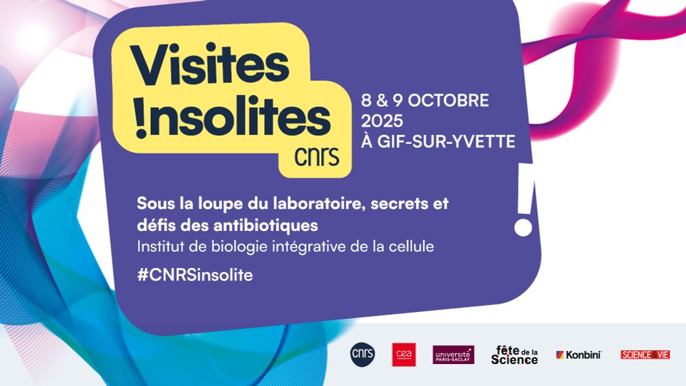 Participez au jeu-concours des Visites insolites du CNRS et tentez de remporter votre place à une visite de l’Institut de biologie intégrative de la cellule (I2BC - CNRS/CEA/Université Paris-Saclay/INSERM/Inrae), à Gif-sur-Yvette !