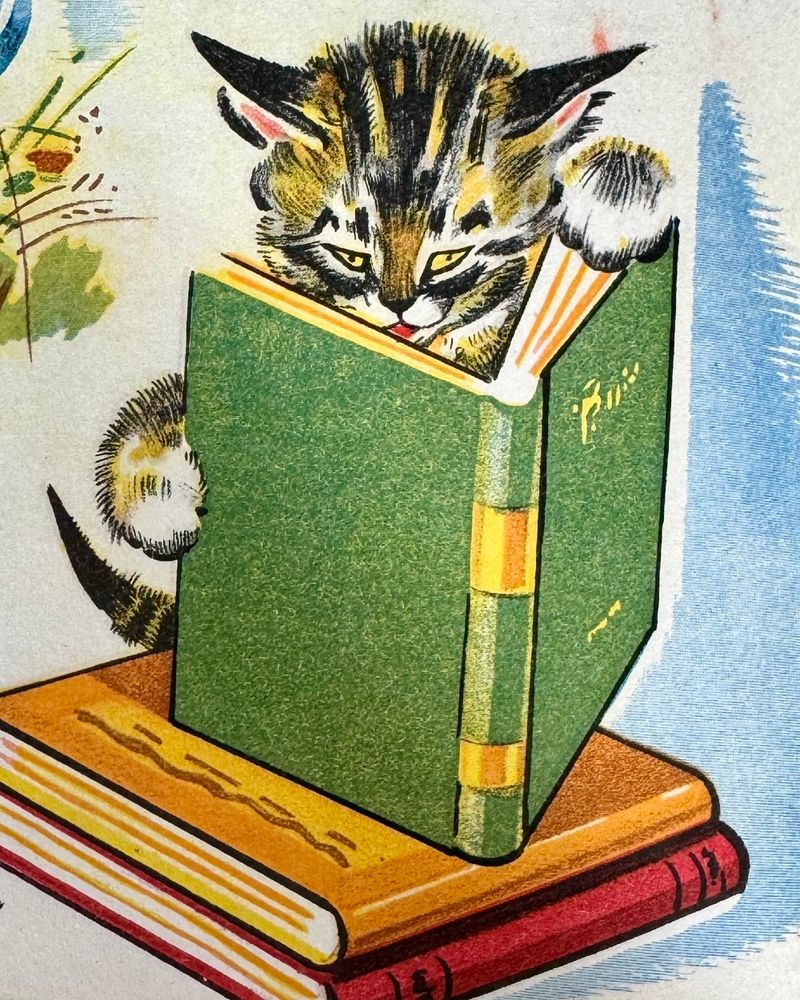 Book illustration showing a tabby kitten reading a green book