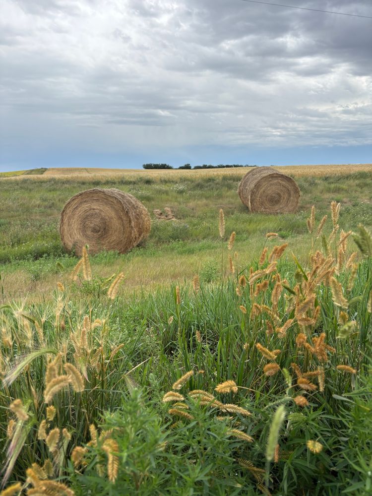Saskatchewan prairies 