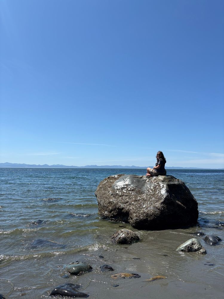 A barnacled boulder in the Pacific Ocean, Juan de Fuca provincial park, BC. 