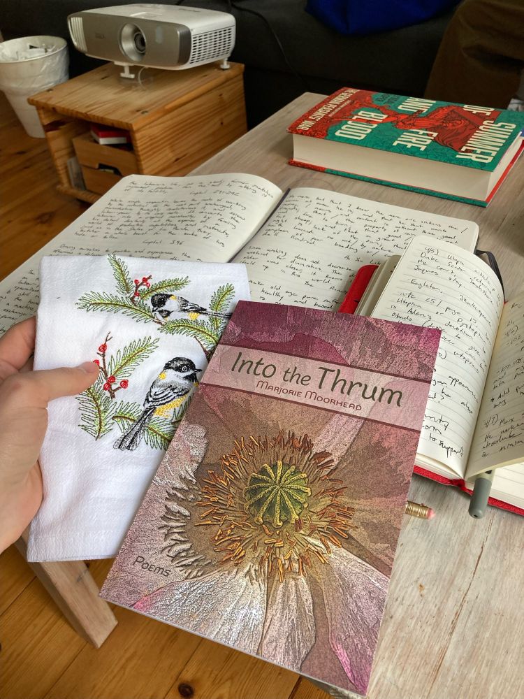 Preordered copy of Into the Thrum, poems by Marjorie Moorhead,seen “in the wild” ❤️