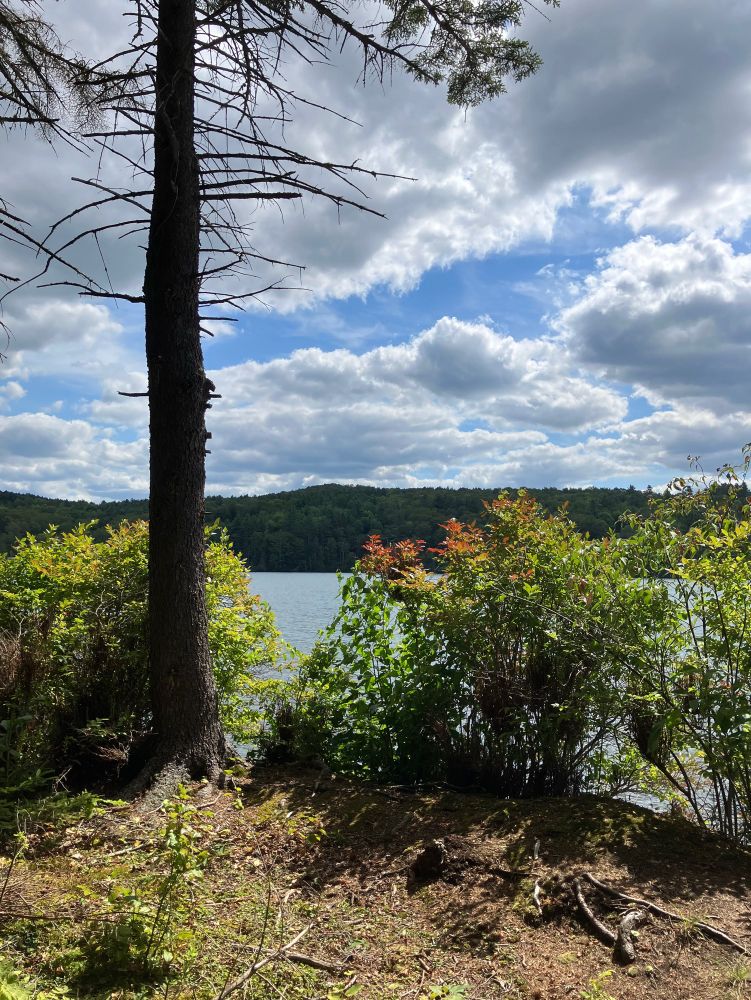 Silver Lake State Park, where Matthew Olzmann read his poems on Saturday 