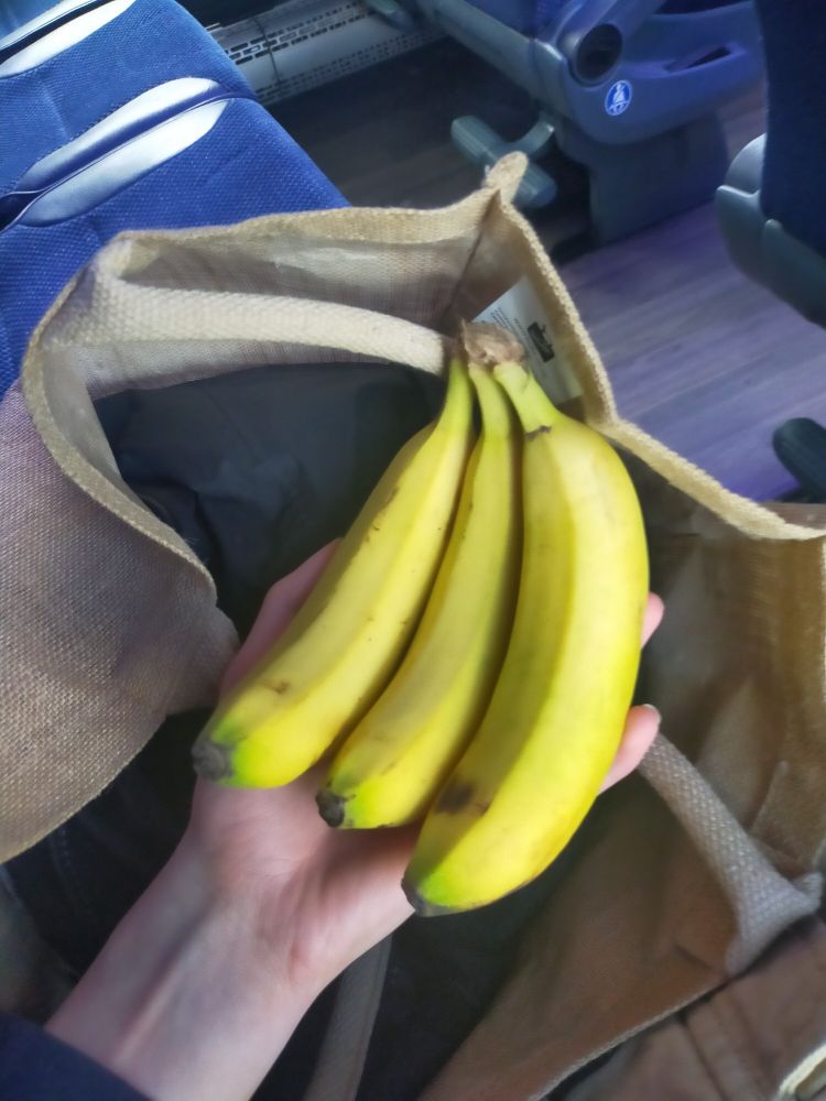 Sitting on a coach, I hold in my hand 3 bananas I have produced from a jute bag