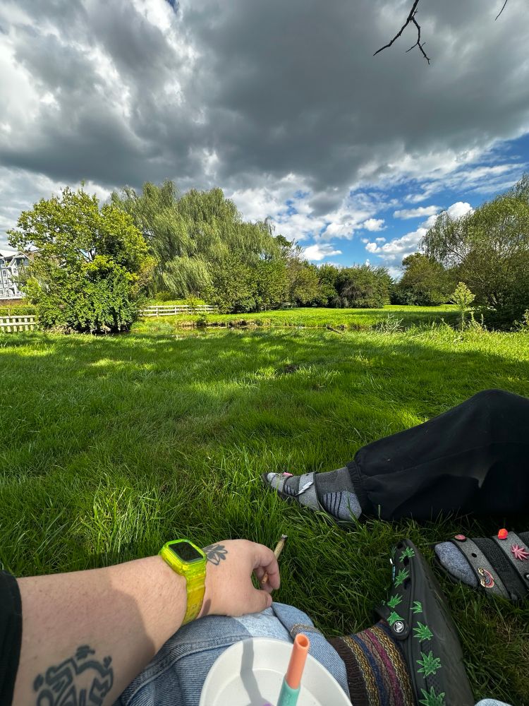 gorgeous creek in our backyard 