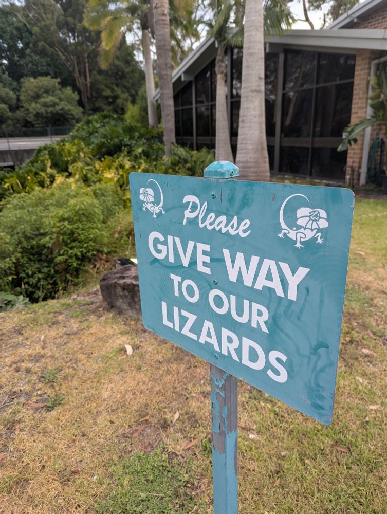 Sign warning about lizards in the carpark 