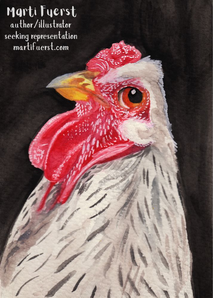 A watercolor portrait of a white rooster with a small comb against a black background. Text reads Marti Fuerst - author/illustrator - seeking representation - martifuerst.com