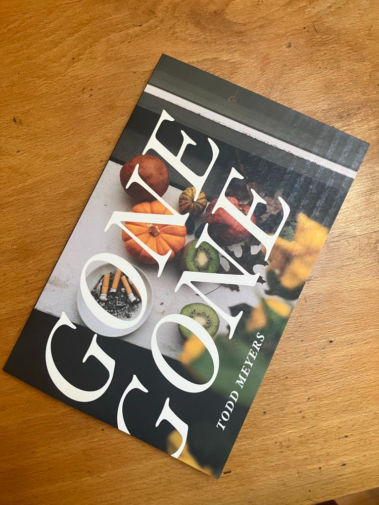 Front and back covers of Gone Gone by Todd Meyers, out now from Duke University Press. 