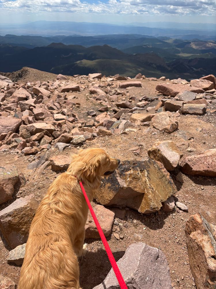 View from the top of Piles Peak with a golden Retriever on a red leash looking out