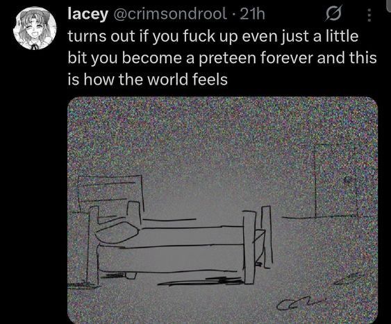 a drawing of a relatively empty bedroom with only a bed and dresser in it, with the caption:

“turns out if you fuck up even just a little bit you become a preteen forever and this is how the world feels”