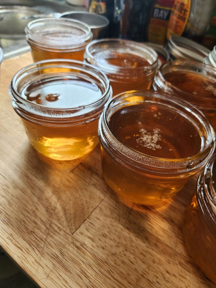 Close up picture of small half pint jars on a wood countertop with a honey-like liquid in them