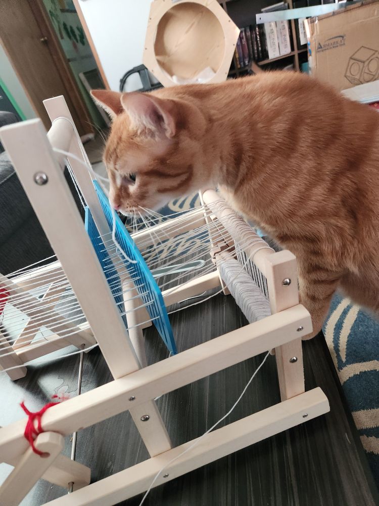 An orange cat climbing onto a table which holds a small toy sized table loom and sniffing the loom