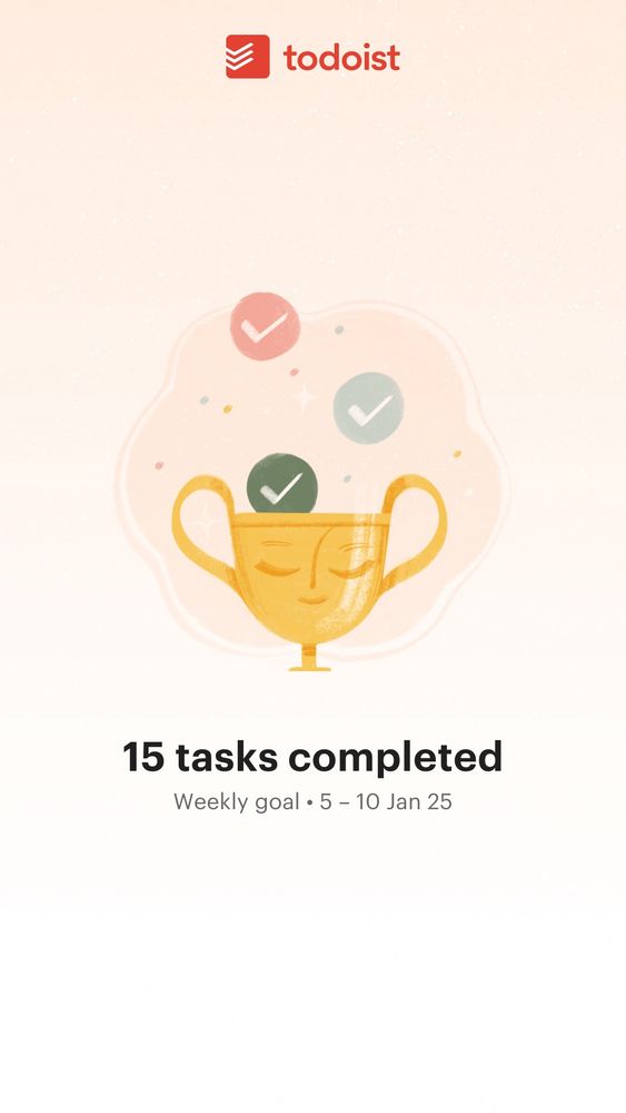 15 tasks completed on Todoist 
