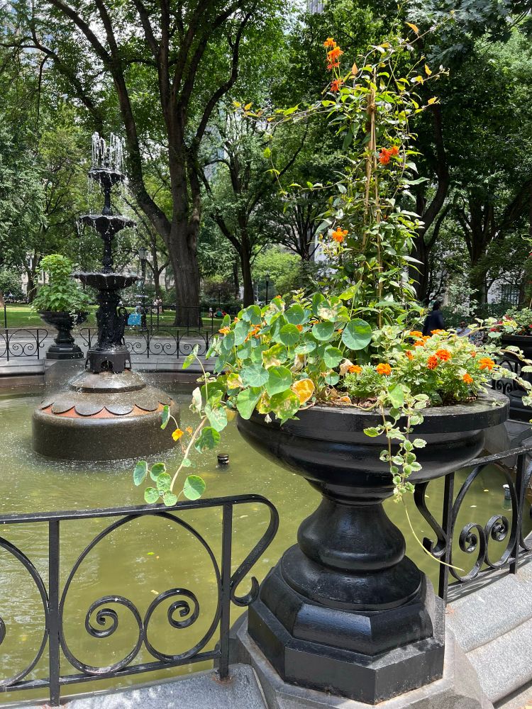 Photo of a fountain in New York City’s Madison Square Park. There are orange flowers in a planter in the foreground.
