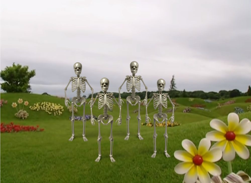 Skelly Welly Pelly and the Other 3 Skeletons