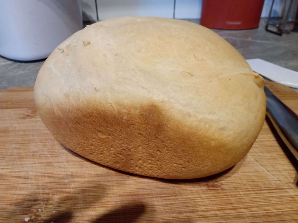 bread! that I baked! it's a little wonky and the sides are crustier than the top, because it was baked in a breadmaker.