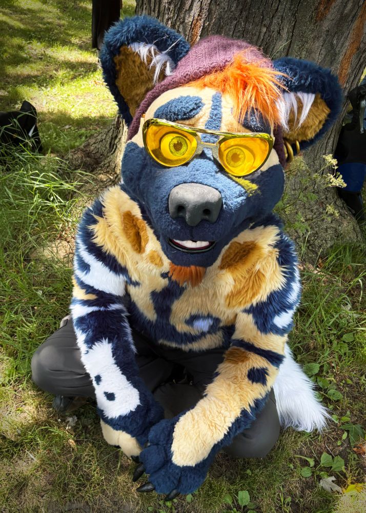 A dark blue and tan african wild dog fursuiter wearing grey pants, yellow sunglasses, and a knit hat sits in front of a tree and looks up at camera
