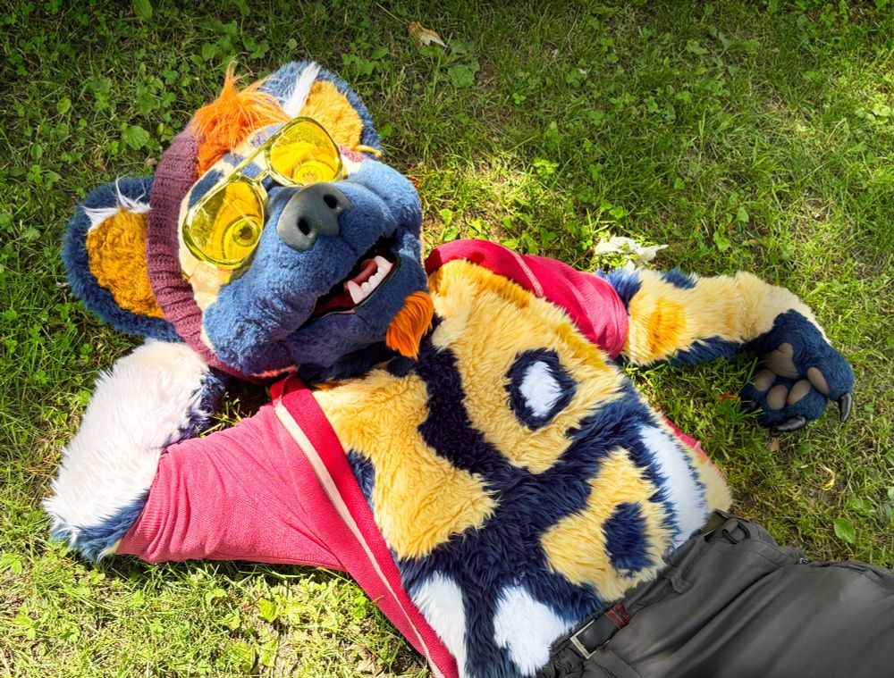Fursuiter dog with yellow sunglasses laying on grass