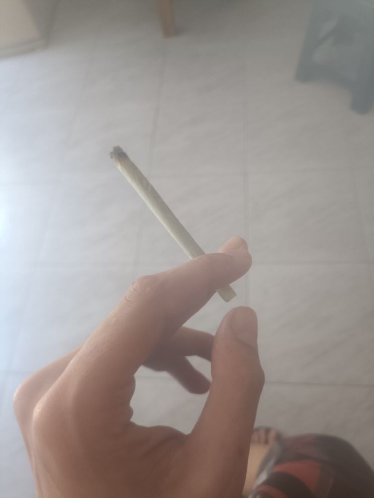 Um cigarrinho de artista 