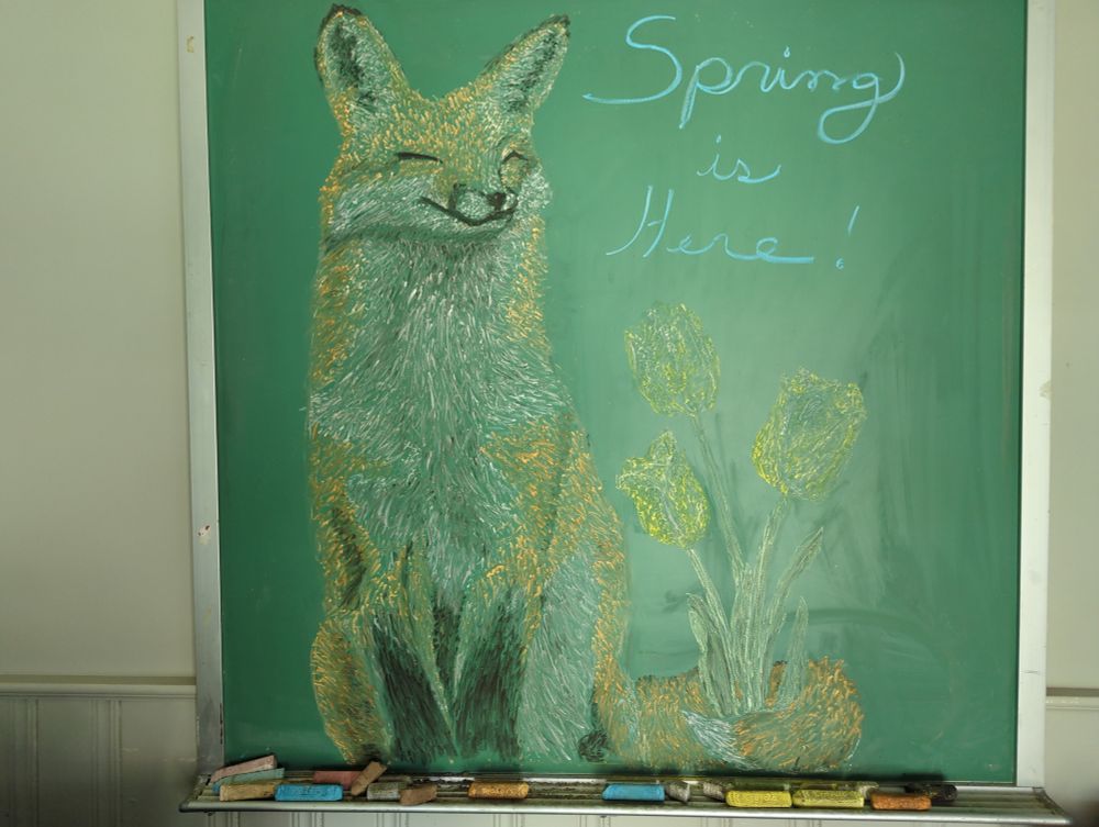 A red fox is depicted on a chalkboard. Its tail is curled around three yellow tulips. Text reads: "Spring is Here!"