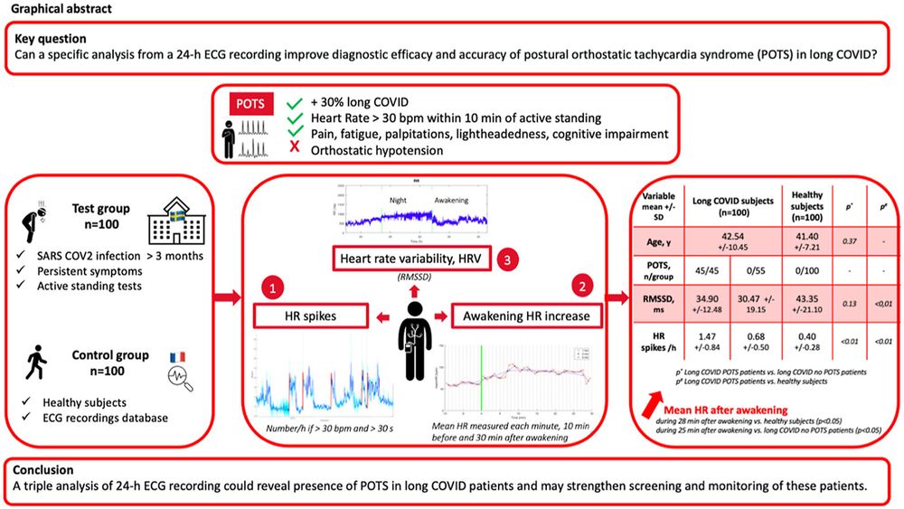 Graphical abstract