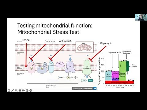 Genetics Centre of Excellence Webinar - 06 June 2025