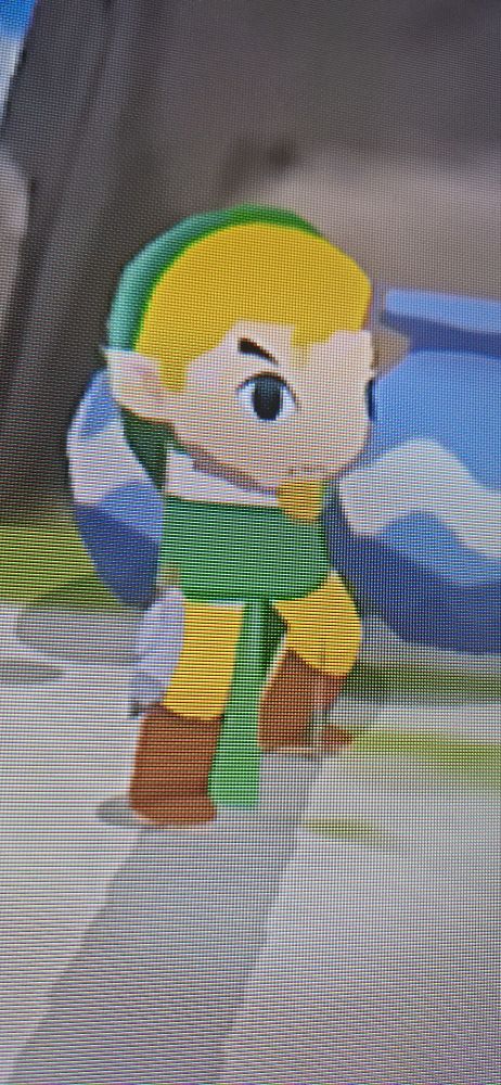 Corrupted Wind Waker Link, he is tiny and rotund, his eyes are a bit wonky. Amogus.