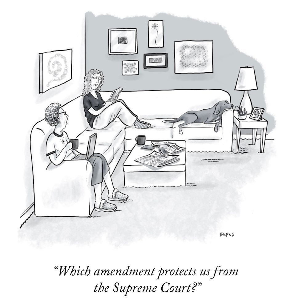 Two women sitting on a couch. One says to the other "Which amendment protects us from the Supreme Court?"