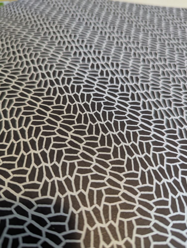 Picture of the 15th pentagonal tiling, white lines on black paper)