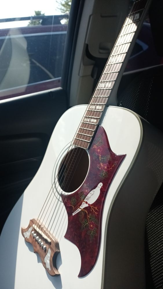 epiphone dove acoustic electric 
