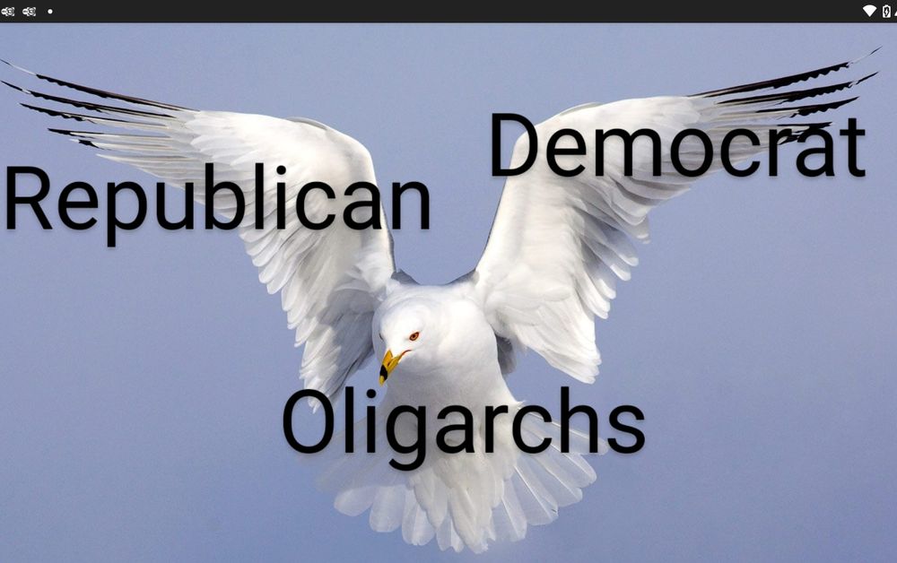 Comment image