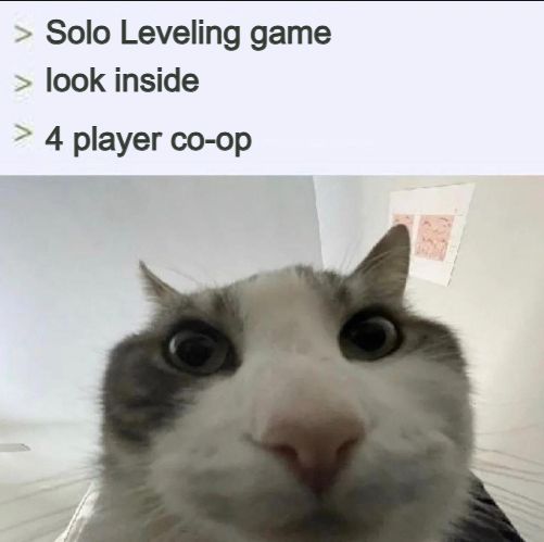 A meme of a cat looking down. It's captioned:
> Solo Leveling game
> look inside
> 4 player co-op