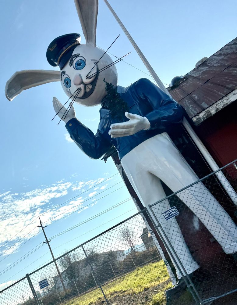 Crooked picture of a large white rabbit with big ears wearing a white suit and holding a lit Christmas tree 