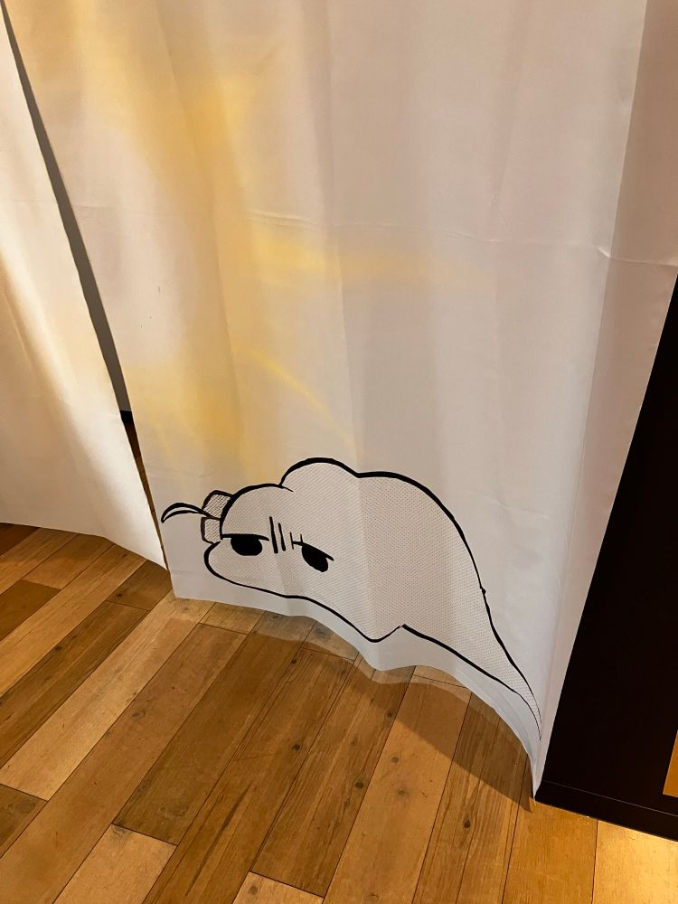 Tsuchinoko Bocchi on curtain
