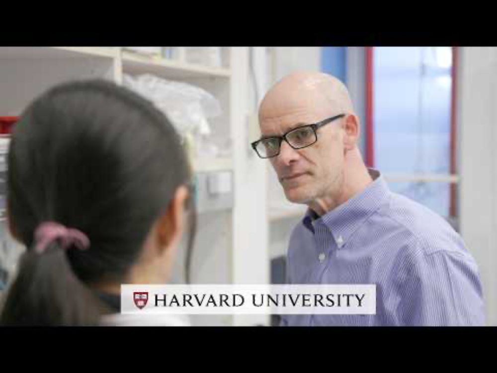 Harvard's David Mooney on the Mission to Save Lives Through Cancer Research